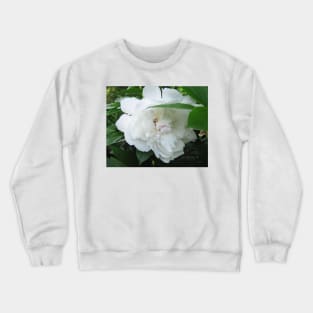 Peony Crewneck Sweatshirt